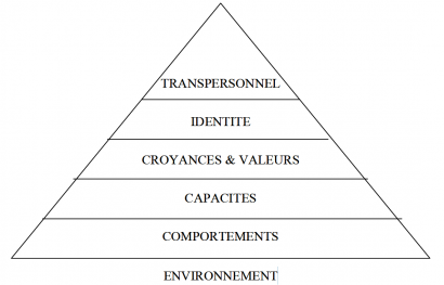 La Pyramide des Niveaux Logiques